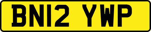 BN12YWP