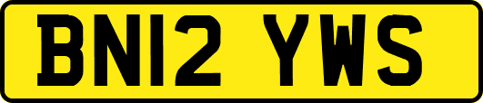 BN12YWS