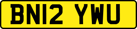 BN12YWU