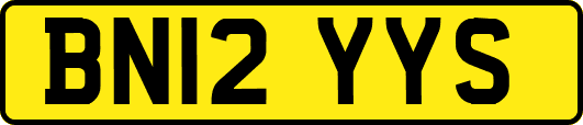 BN12YYS
