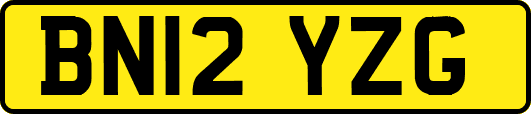 BN12YZG