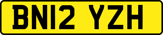 BN12YZH