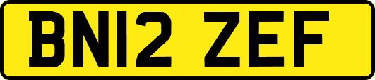 BN12ZEF