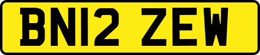 BN12ZEW