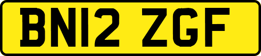 BN12ZGF