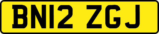 BN12ZGJ