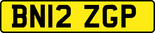 BN12ZGP