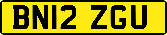 BN12ZGU