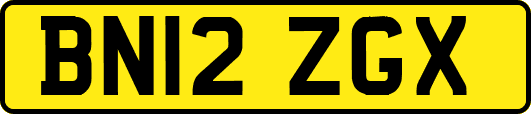 BN12ZGX