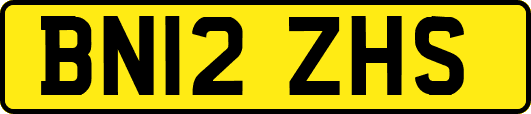 BN12ZHS