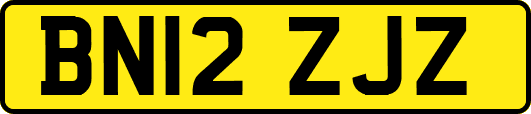 BN12ZJZ