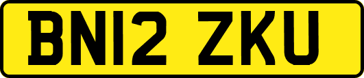 BN12ZKU