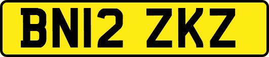 BN12ZKZ