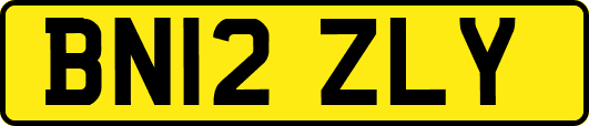 BN12ZLY