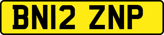 BN12ZNP