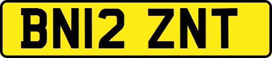 BN12ZNT