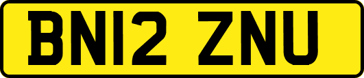 BN12ZNU