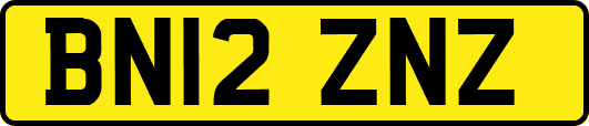 BN12ZNZ