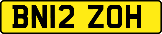 BN12ZOH