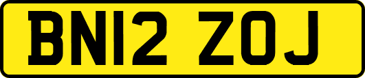 BN12ZOJ