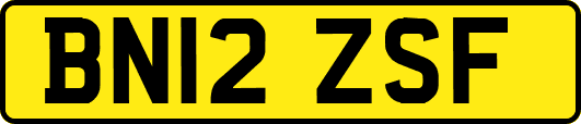 BN12ZSF