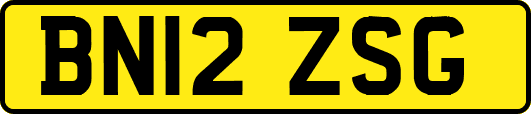 BN12ZSG