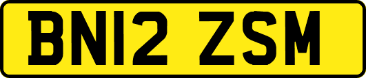 BN12ZSM