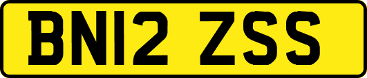 BN12ZSS
