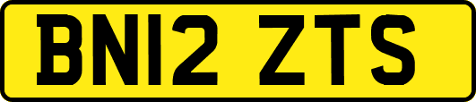 BN12ZTS