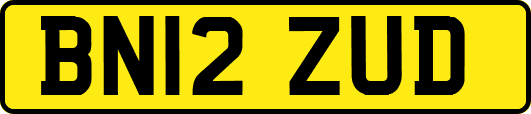BN12ZUD