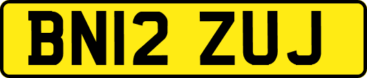 BN12ZUJ