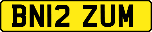 BN12ZUM