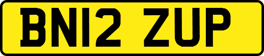 BN12ZUP