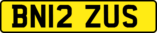 BN12ZUS
