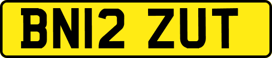 BN12ZUT