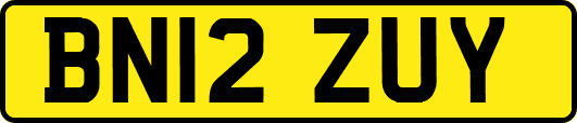 BN12ZUY