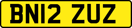 BN12ZUZ