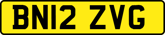 BN12ZVG