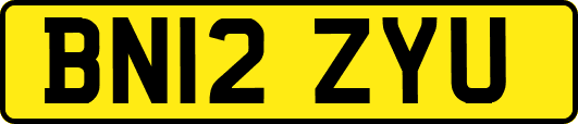 BN12ZYU
