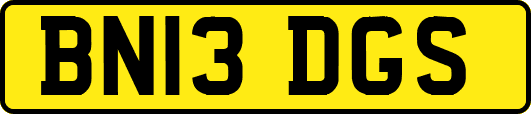 BN13DGS