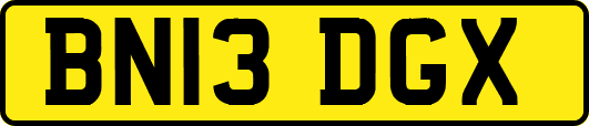 BN13DGX