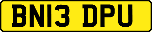 BN13DPU