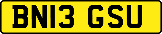 BN13GSU