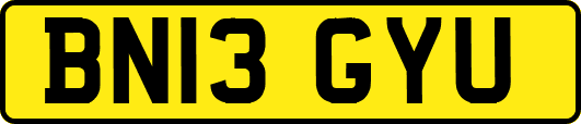 BN13GYU