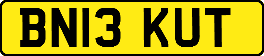 BN13KUT