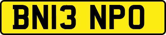 BN13NPO