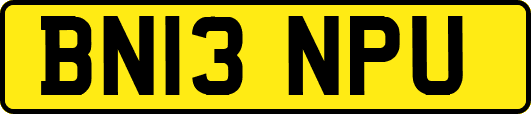 BN13NPU