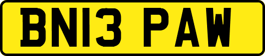 BN13PAW