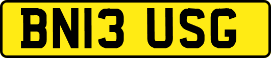 BN13USG