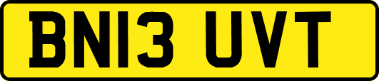 BN13UVT